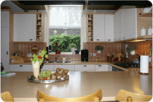 na21 Voorbeelden gerenoveerde keukens